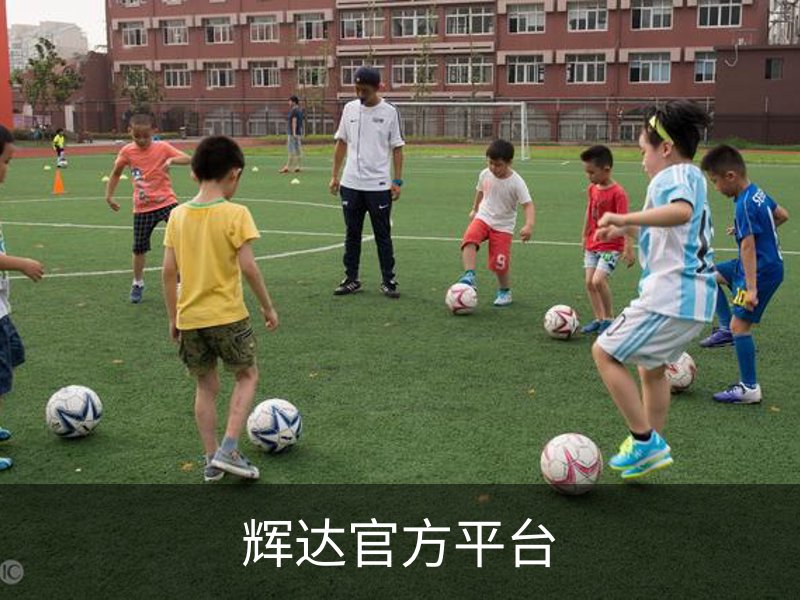 关于辉达官方平台